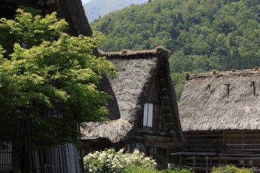 Japonya 'nın Shirakawa köyü. unesco Dünya Mirası