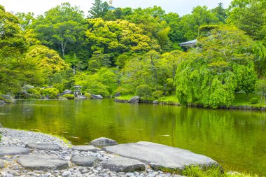Sakin göleti ve yazın yeşil ağaçları olan güzel Japon parkı.        
