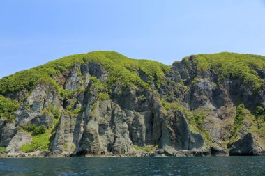 Deniz kıyısındaki güzel yeşil tepelerin manzarası
