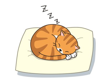 Küçük çizgili bir kedi kıvrılır ve açık renkli bir yastıkta uyur..