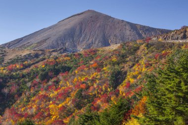 Japonya 'daki güzel sonbahar parkının manzaralı görüntüleri.