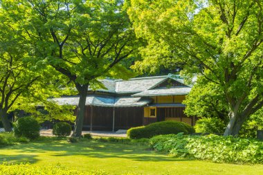Geleneksel Japon evi yemyeşil ağaçlarla çevrili.