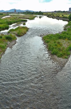 Taşlı ve yeşil çimenli nehrin güzel manzarası