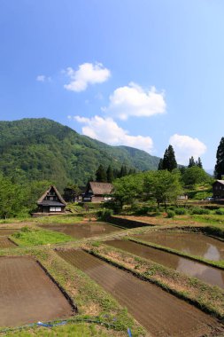 Shirakawa-go 'nun tarihi köyleri ve Gokayama, UNESCO' nun Japonya 'daki dünya mirası. Eski geleneksel Japon evleri ve pirinç tarlaları 