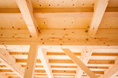 Japonya 'da yeni bir konut inşaatı