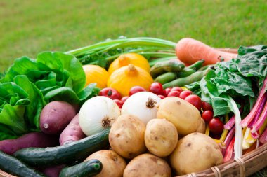 Bahçede taze sebzeler