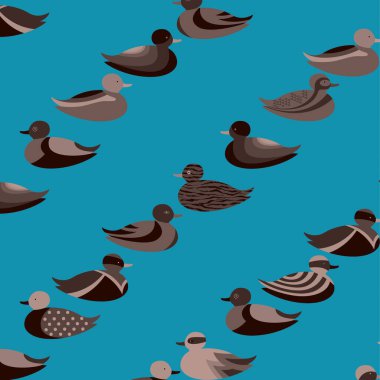 Kuşlar seamless modeli. Vektör çizim