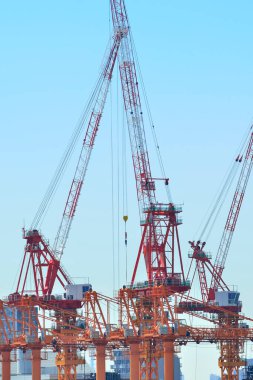 Büyük bir Japon şehrinin kalbindeki geliştirme sahasında ağır makineler çalışıyor..