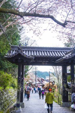 İnsanlar bahar parkında çiçek açmış kiraz ağaçlarıyla yürüyorlar. 