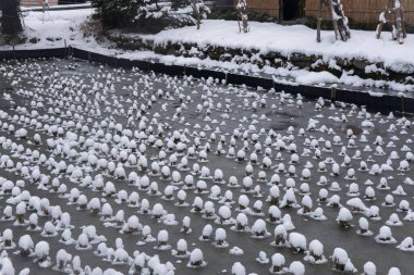 Karla kaplı bitkilerle kaplı kış manzarası