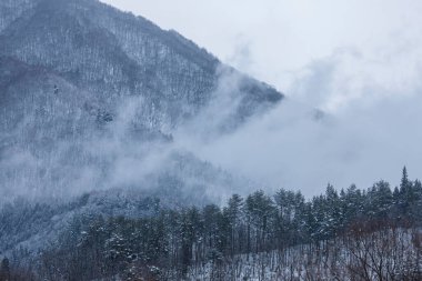 Karla kaplı dağ manzarası. Kış manzarası