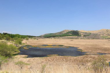 Savanada gölü olan güzel bir manzara. 