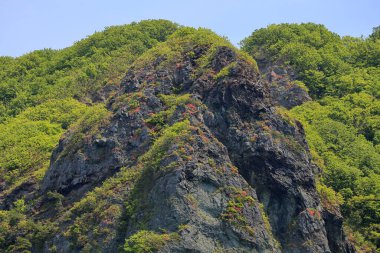 Bereketli yeşil bitki örtüsüyle kayalık uçurumun güzel manzarası