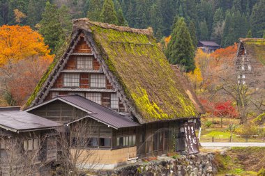 Shirakawa 'nın Tarihi Köyü, UNESCO' nun Japonya 'daki dünya mirası. Eski geleneksel Japon evleri 