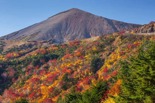 日本美丽的秋天公园的风景照片 — 图库照片