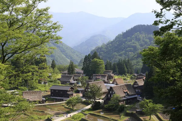 Villages Historiques Shirakawa Gokayama Patrimoine Mondial Unesco Japon Vieilles Maisons — Photo