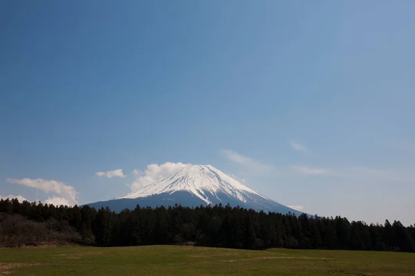 mount fuji in japan  on nature background