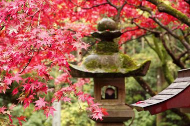 Yazın Japon tarihi tapınağı