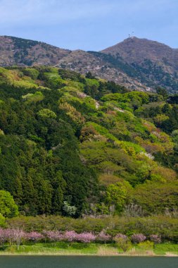 Japonya köyünde dağ tepeleri olan güzel doğa manzarası 