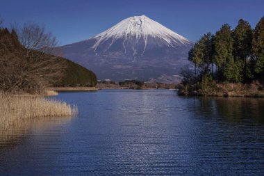 Japonya 'daki Fuji Dağı ve gölün güzel manzarası 