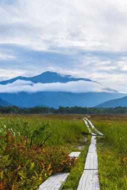 dağlarda ahşap yolu