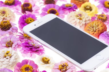 Kasımpatı çiçekli akıllı telefon