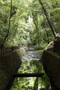 Yaz parkında güzel bir Japon bahçesi