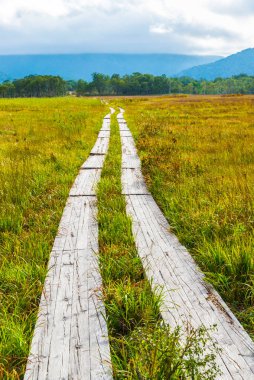 dağlarda ahşap yolu