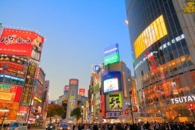 Tokyo şehrinin gündüz manzarası, Japonya