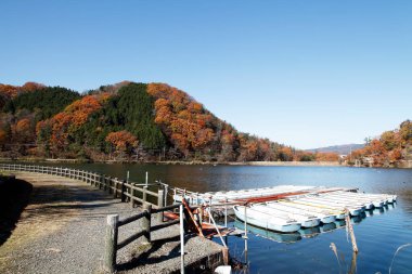 Nehrin güzel sonbahar manzarası ve dağlarda büyüyen ağaçlar 