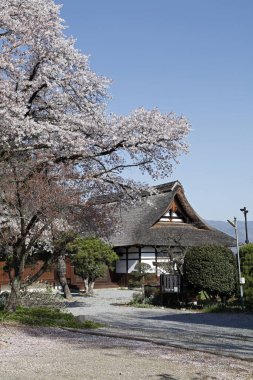 beautiful japanese temple building, buddhism concept