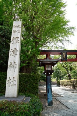 Japonya 'nın yaz bahçesindeki yeşil ağaçlar ahşap köprü 