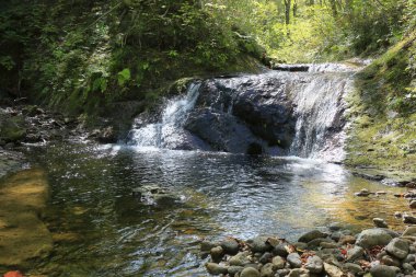 Şelaleli güzel doğa arka plan görüntüsü 