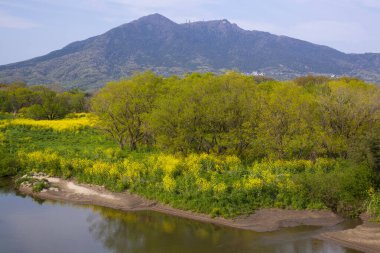 Japonya köyünde dağ tepeleri olan güzel doğa manzarası 