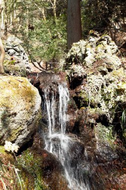 bir dağdaki şelale 