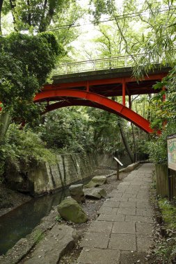 Japonya 'nın yaz bahçesindeki yeşil ağaçlar ahşap köprü 