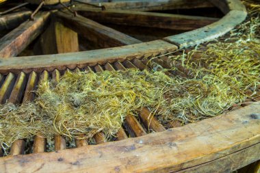 Eski ahşap tekerleğin üzerinde kuru saman dinleniyor.