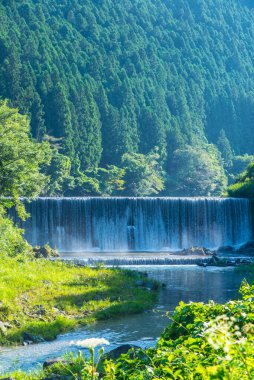 Dağlardaki güzel şelalenin yaz manzarası