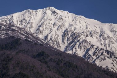 Karlı dağların güzel manzarası