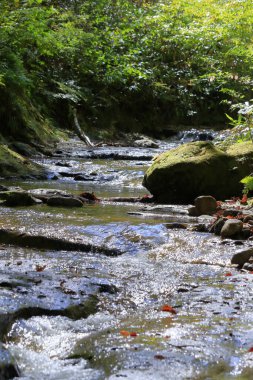 Şelaleli güzel doğa arka plan görüntüsü 