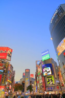 Tokyo şehrinin gündüz manzarası, Japonya