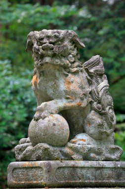 Japonya 'nın Fukui Bölgesi Katsuyama şehrindeki bir Shinto tapınağında Heisenji Tapınağı' nın koruyucu köpeği.