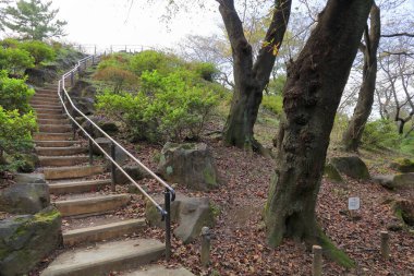 Toyama Parkı 'ndaki merdivenler Hakoneyama, Tokyo, Japonya