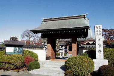 Antik tapınak binası, Asya mimarisi