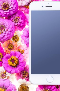 Kasımpatı çiçekli akıllı telefon