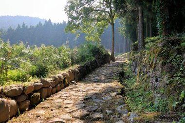 Heisenji Hakusan Tapınağı 'nın eski giriş yolu Chugu Heisenji Sando olarak adlandırılır ve Japonya' nın 100 Büyük Yolu 'ndan biridir. Taş döşeli yol eski ağaçlarla çevrili.,