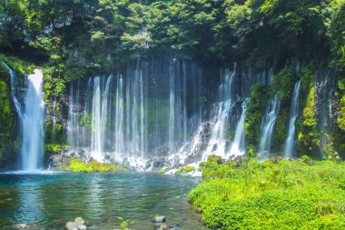 Yeşil ormanda şelale