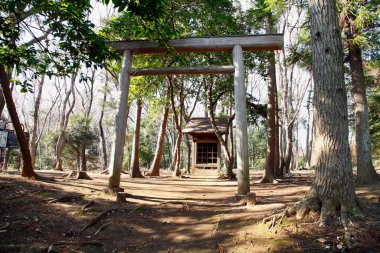 Japonya 'da Japon tapınağı olan güzel bir park manzarası.
