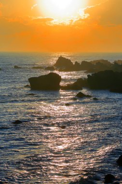 Mavi gökyüzü ve deniz taşlarla