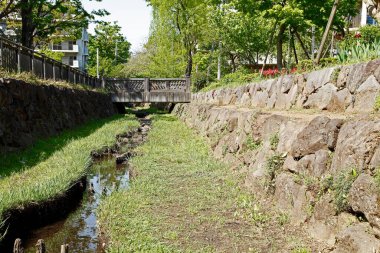 Peyzaj ormanı, nehir ve taşlar